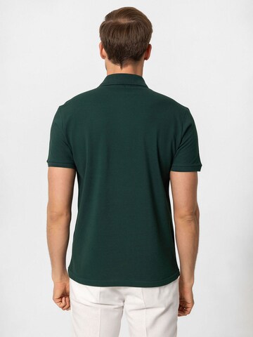 Maglietta di Dandalo in verde