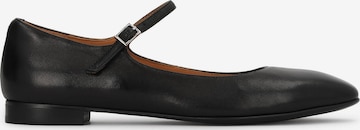 Kazar Avokkaat värissä musta: etupuoli