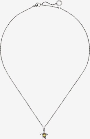 Paul Hewitt Necklace in Silver: front