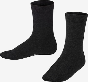 FALKE Socks 'Family' in Grey: front