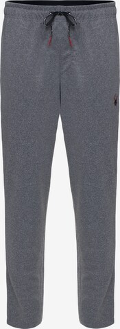 Spyder Regular Sports trousers in Grey: front