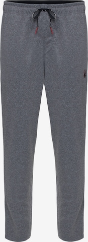 Regular Pantalon de sport Spyder en gris : devant