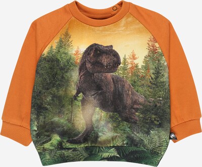 Molo Sweater majica 'Disc' u zelena / narančasta, Pregled proizvoda