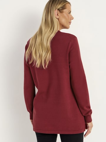 Cellbes of Sweden Pullover in Rot