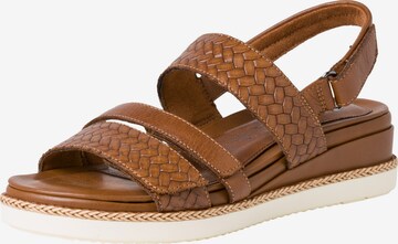 TAMARIS Sandals in Brown: front