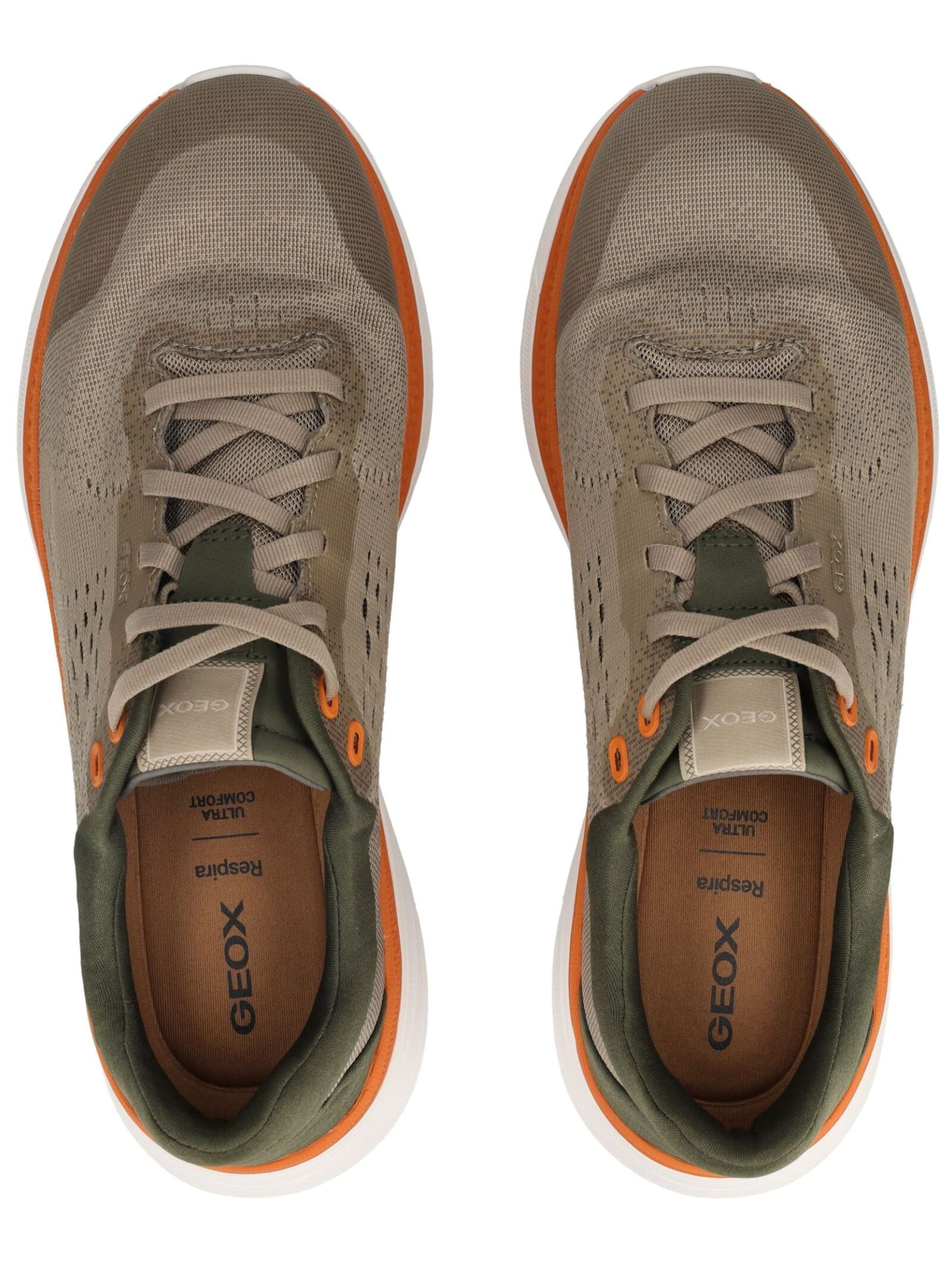 Sneaker bassa di GEOX in beige