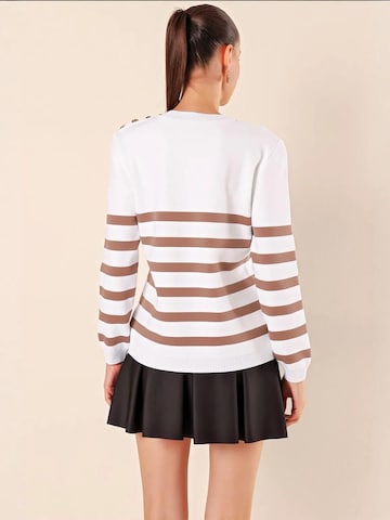 Bigdart Trui in Bruin