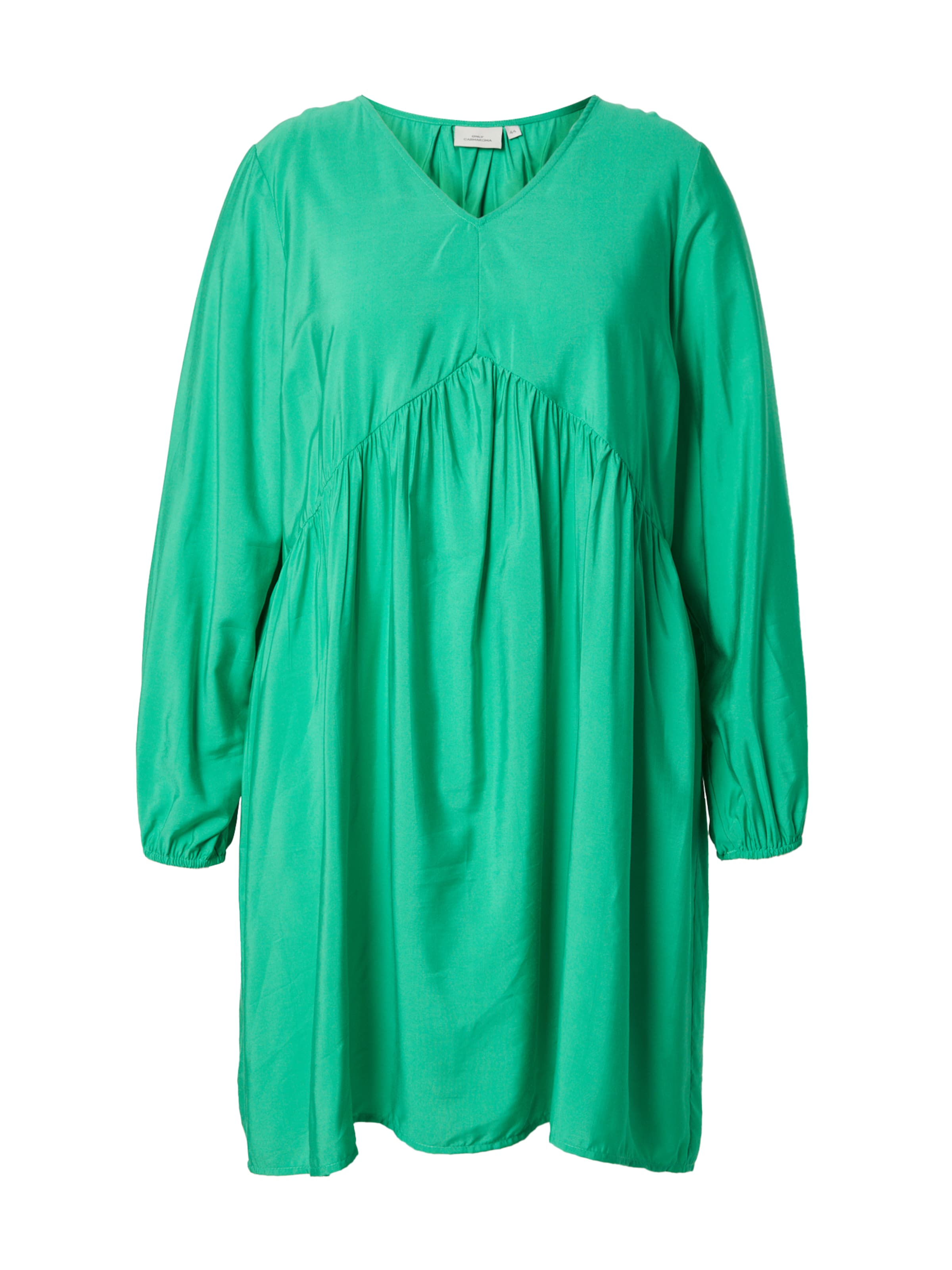 ONLY Carmakoma Dress 'CARKADERA' in Light green, Item view