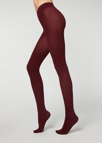 CALZEDONIA Tights in Red: front