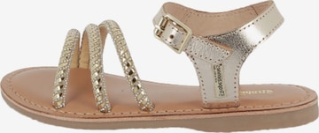 Sandales 'Ledersandalen für Kinder von Belarbi Bibigirl' Les Tropéziennes en or : devant