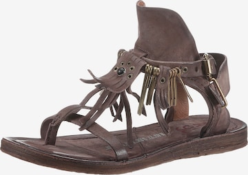 A.S.98 Strap Sandals in Brown: front