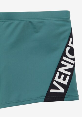 Shorts de bain VENICE BEACH en vert