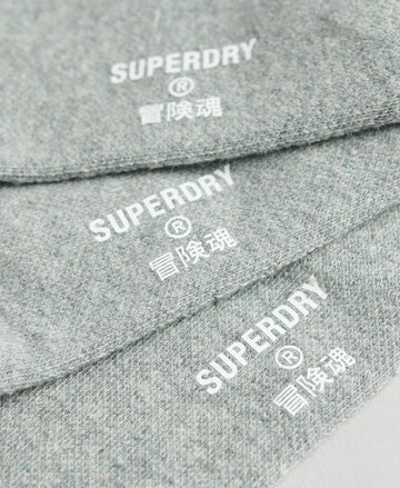 Superdry Sokken in Grijs