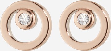 SKAGEN Earrings in Gold: front