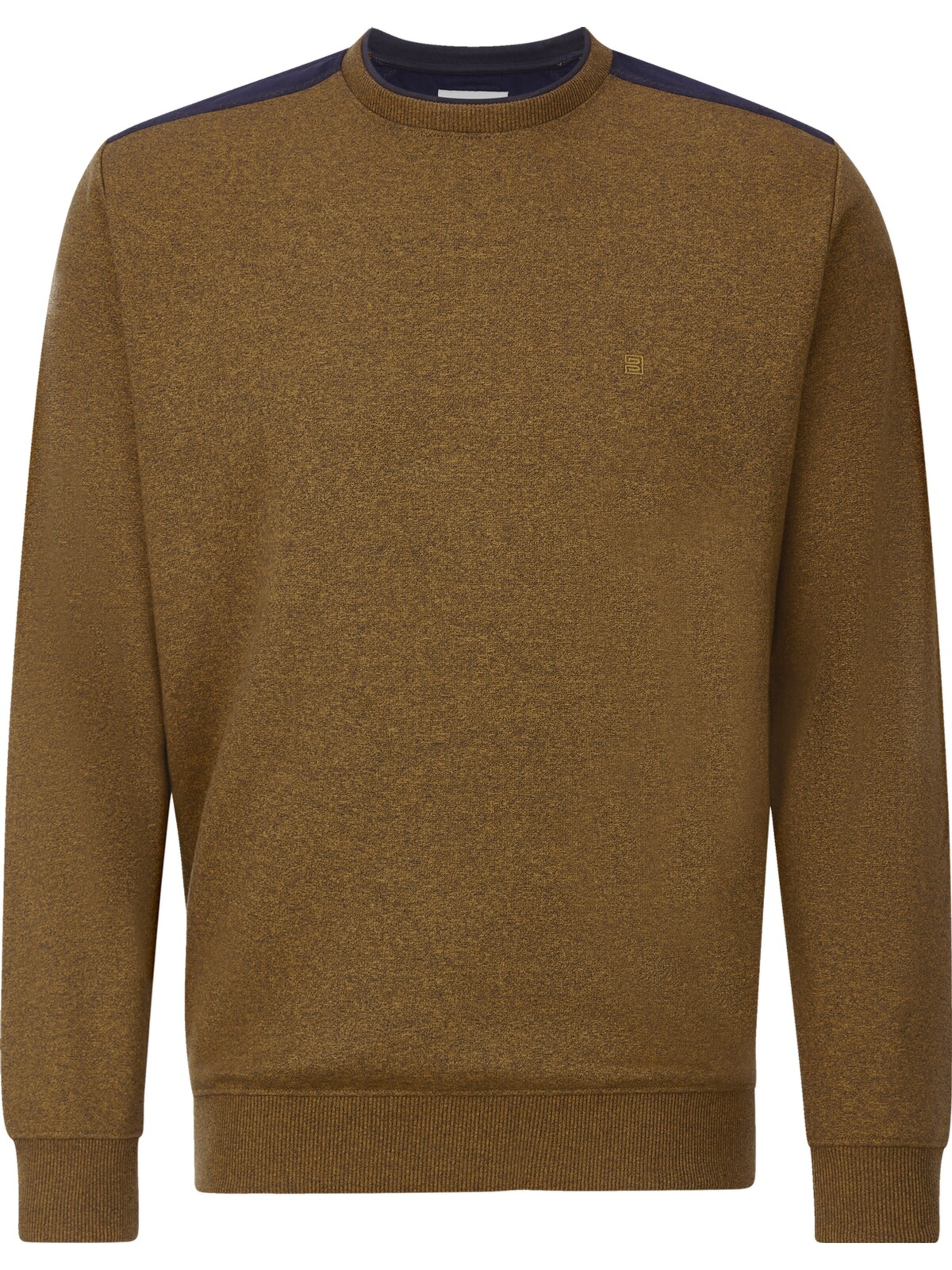 BABISTA Sweatshirt 'Timario' in Braun: Vorderseite