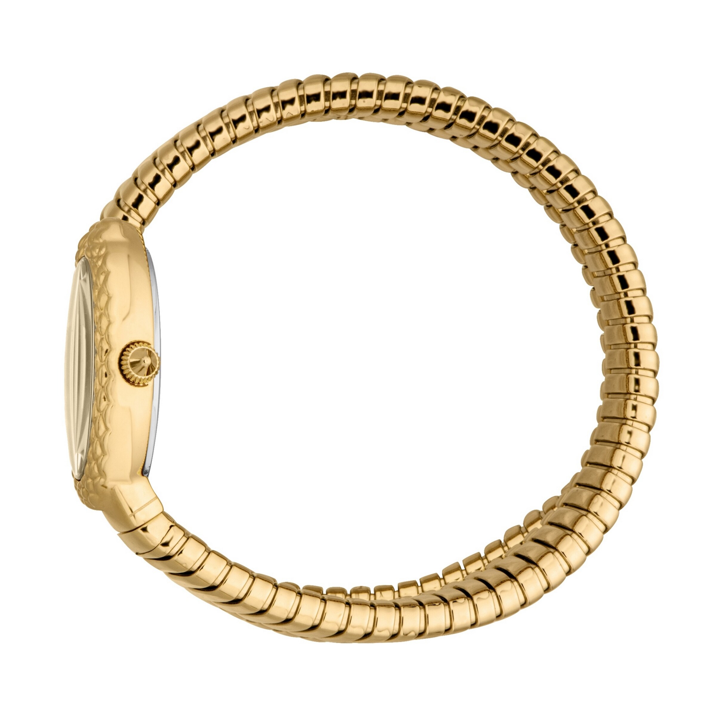 Just Cavalli Time Analog Watch in Gold