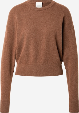 brūns Calvin Klein Džemperis: no priekšpuses