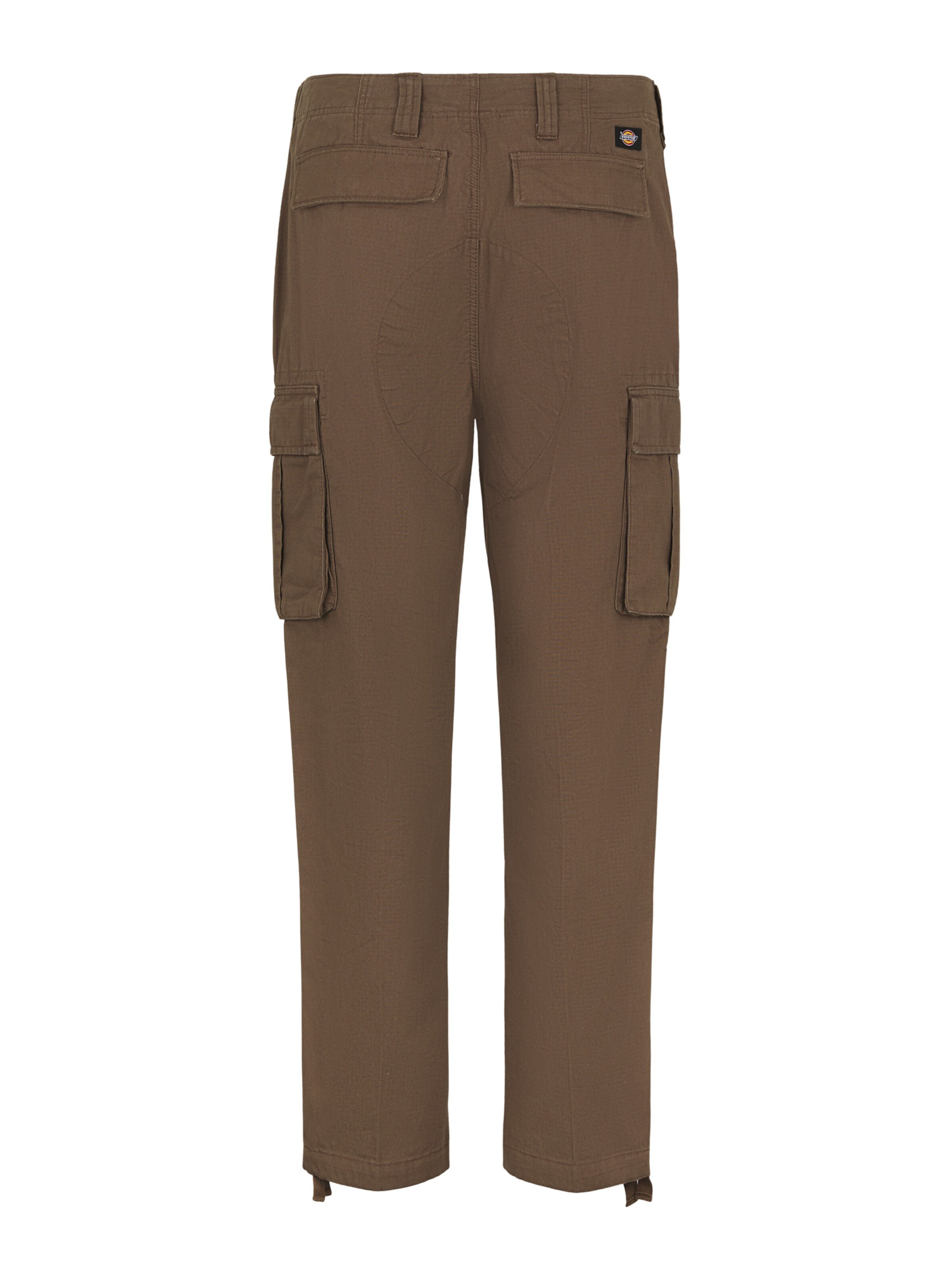 regular Pantaloni cargo 'EAGLE BEND' di DICKIES in marrone