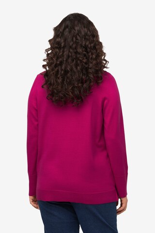 Ulla Popken Pullover in Pink