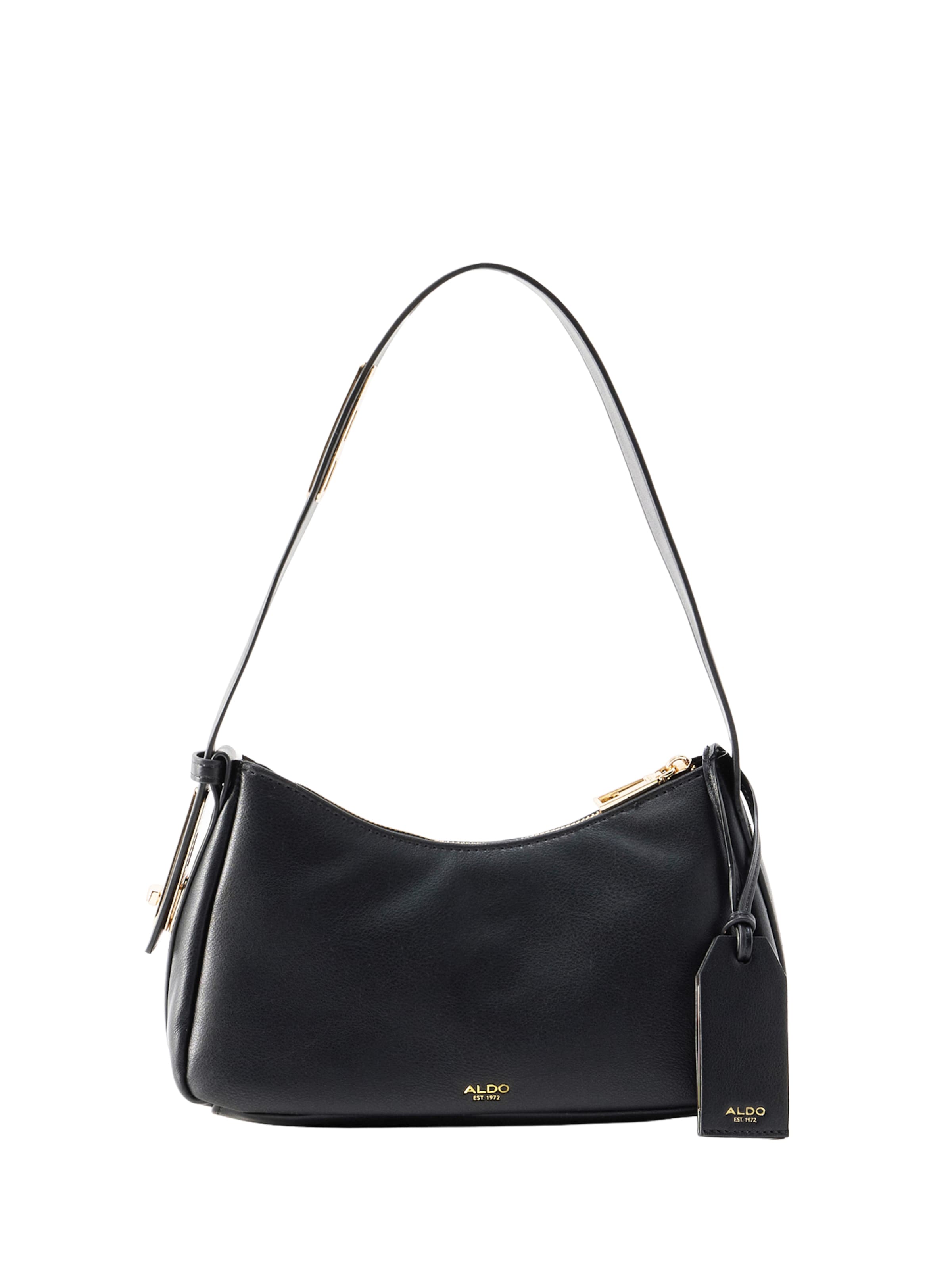 ALDO Schultertasche 'CHARLAUTTE' in Schwarz: Vorderseite