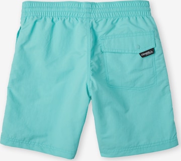 Shorts de bain 'Vert' O'NEILL en bleu