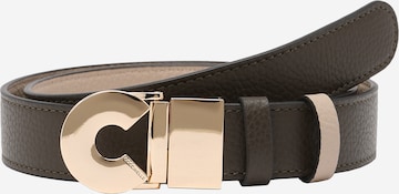 Coccinelle Belt in Brown: front