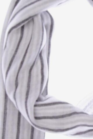 Stefanel Scarf & Wrap in One size in Grey