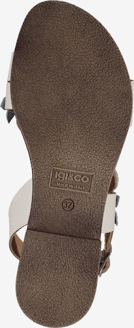 Sandales IGI&CO en beige