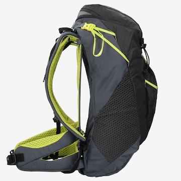 SALEWA Sports Backpack in Grey