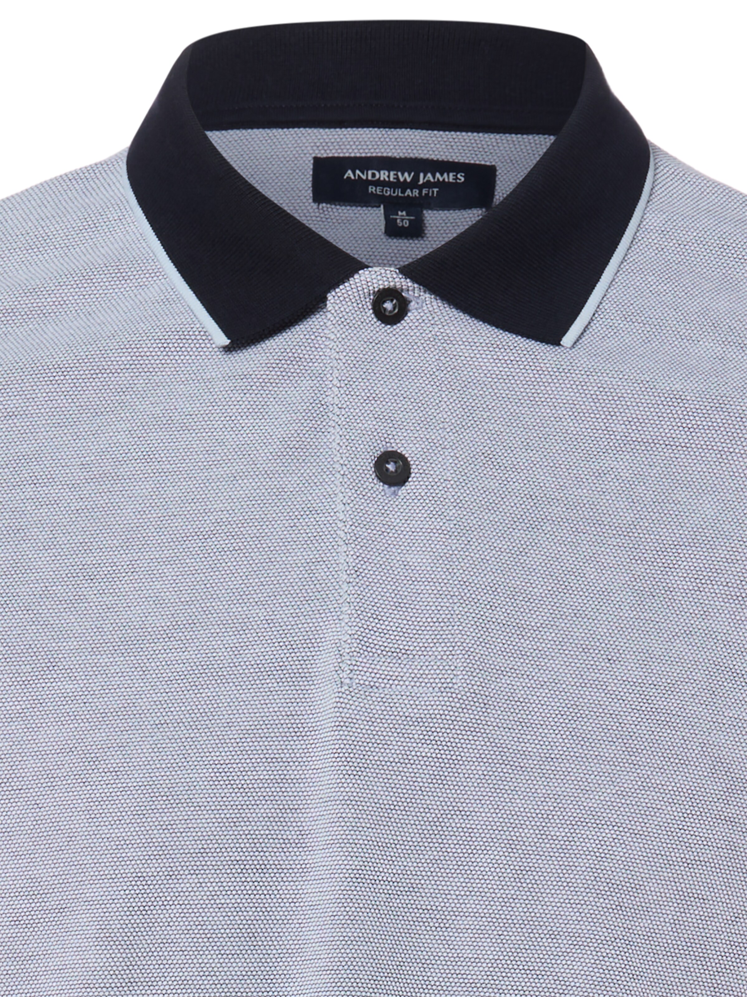 Andrew James Shirt in Grey