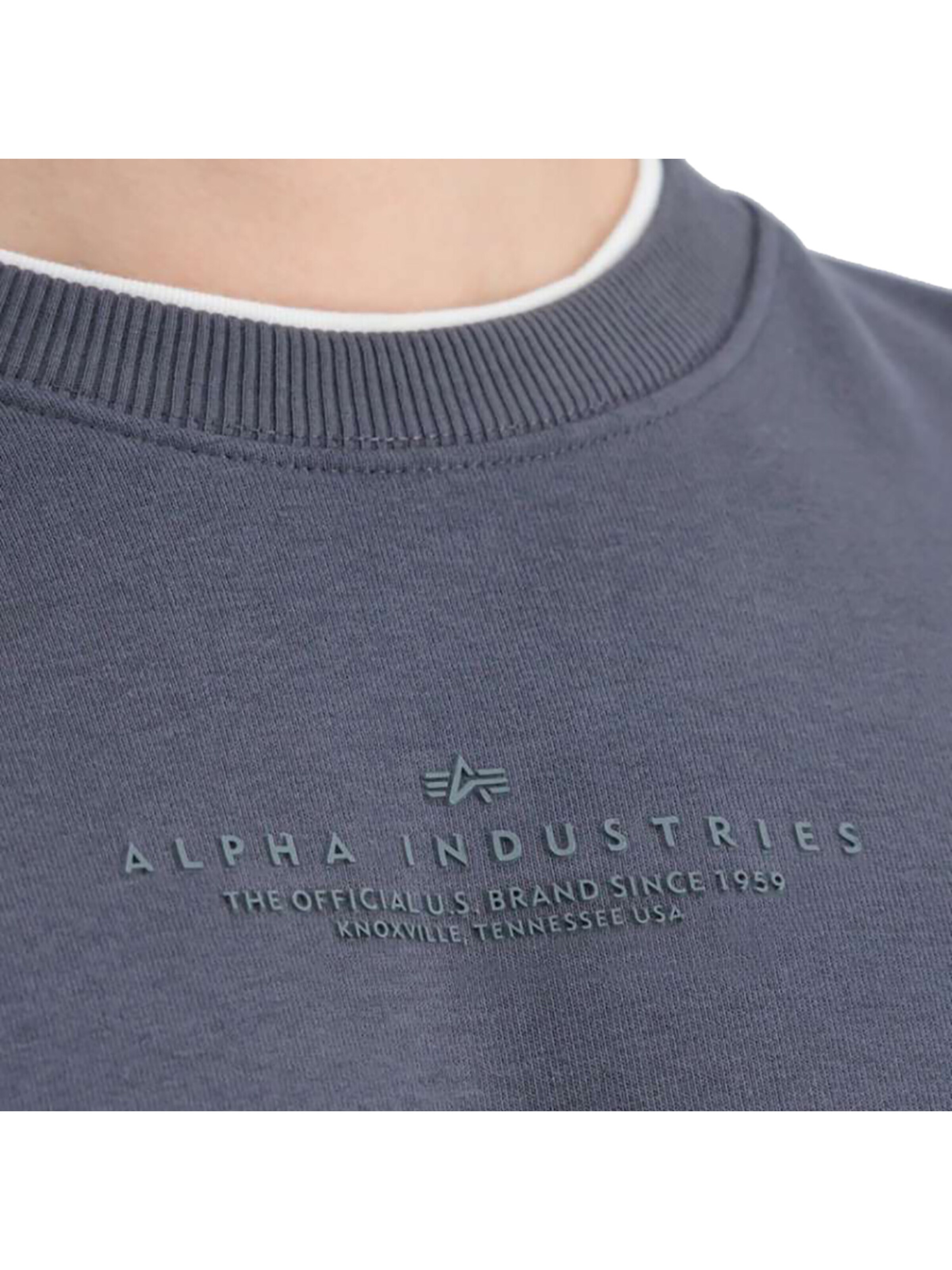 ALPHA INDUSTRIES Sweatshirt 'Double Layer'‌‌‌‌‌ in Grau
