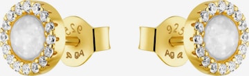AMOR Earrings in Gold
