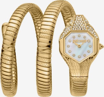 Orologio analogico di Just Cavalli in oro: frontale