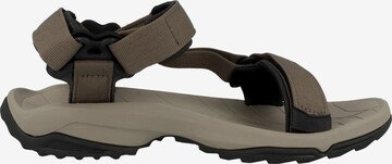 TEVA Sandals 'Terra' in Brown