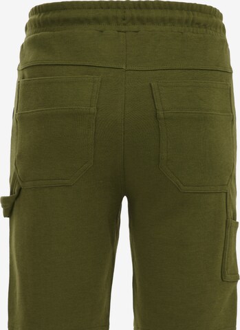 WE Fashion Slimfit Shorts in Grün