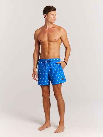 PROTEST Board Shorts 'PRTMascot' in Blue