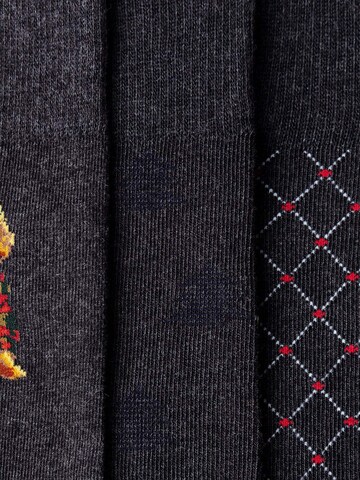 Hackett London Socken ' HARRY PLACEMENT  ' in Grau