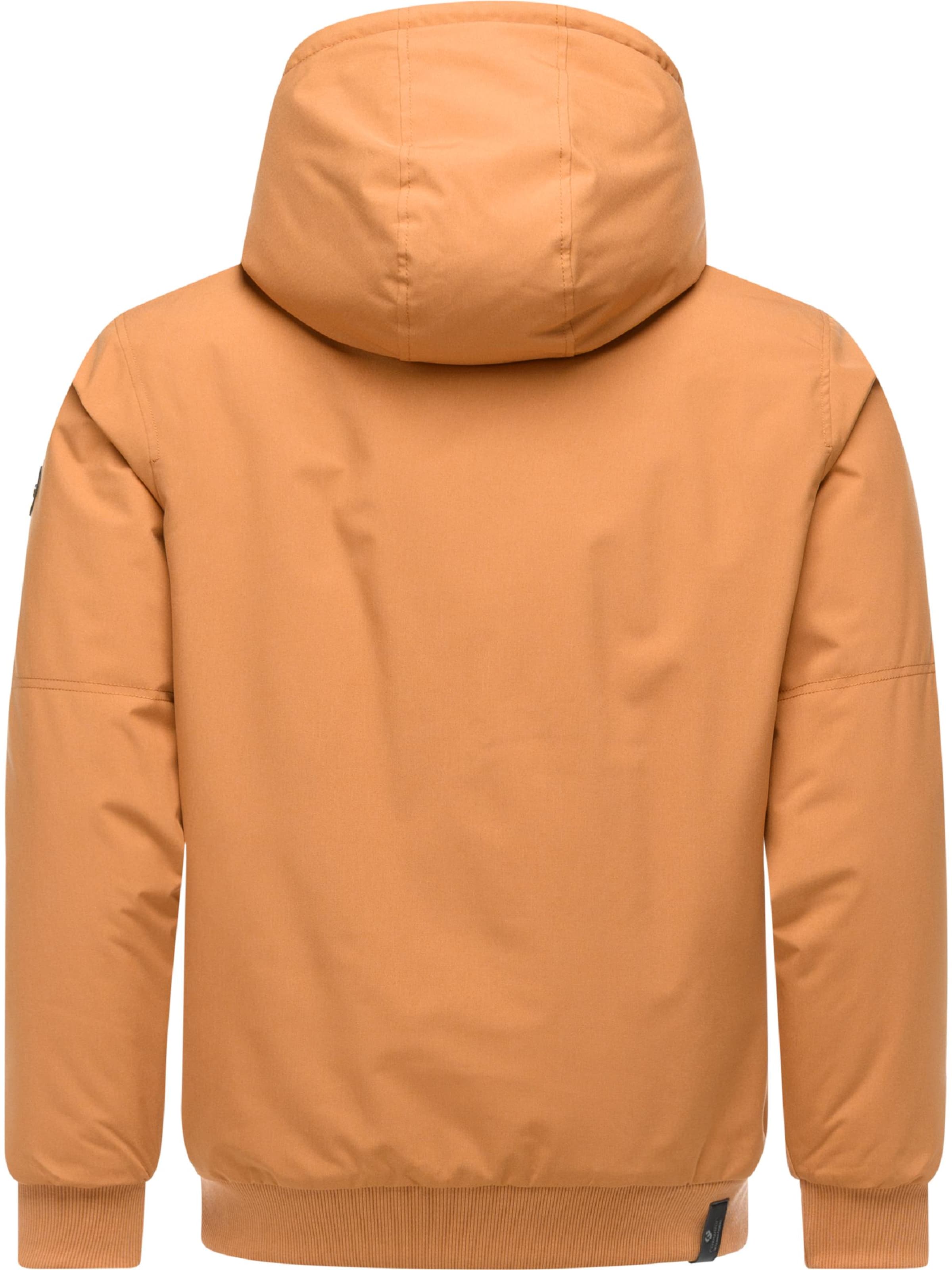 Ragwear Winter jacket 'Stuartt' in Brown