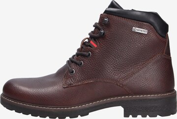 ARA Lace-Up Boots in Brown