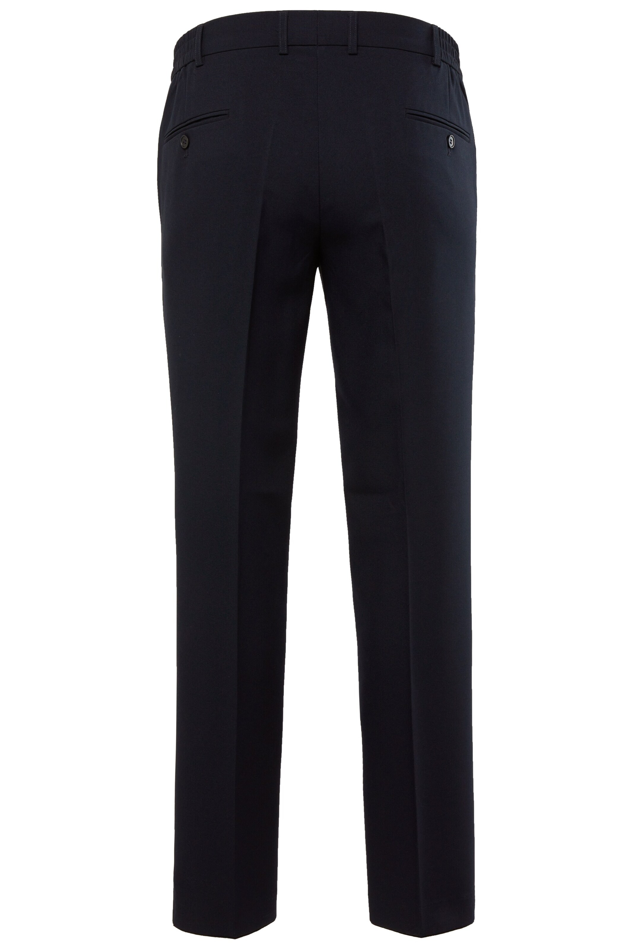 Men Plus Regular Pleated Pants in Blue