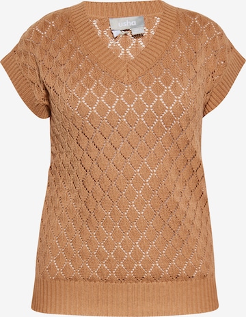 Usha Knitted Vest in Brown: front