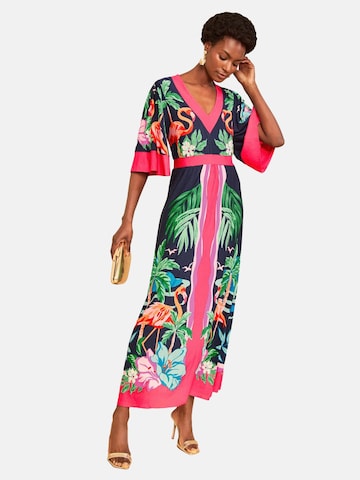 love & roses Dress in Blue: front