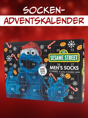 SESAMSTRASSE Socken 'Adventskalender mit 12 Paar'‌‌‌ in Mischfarben