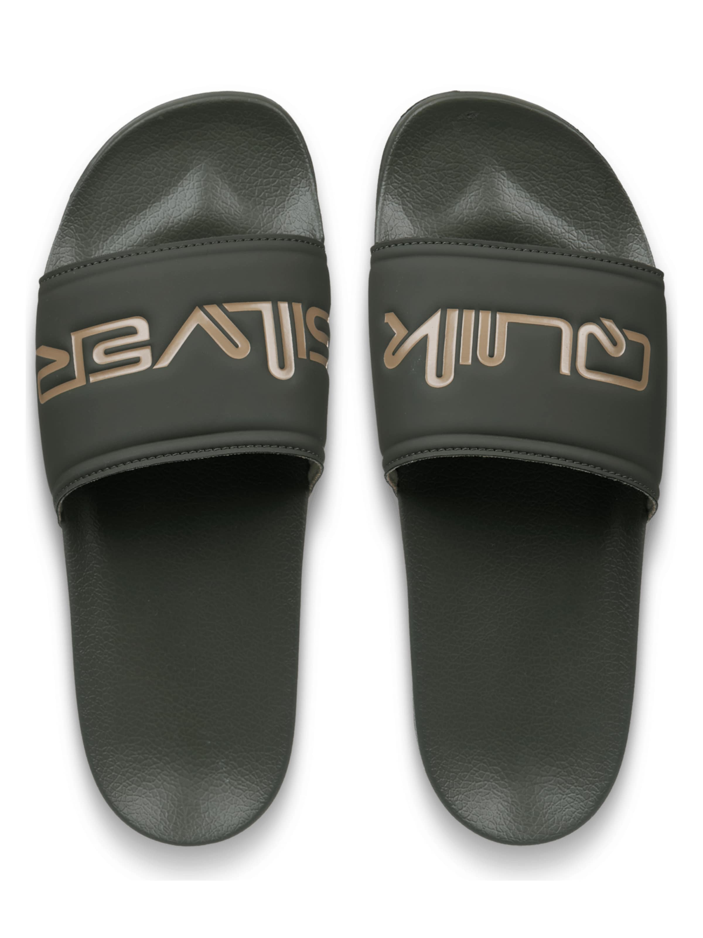 QUIKSILVER Pantolette 'Sessions' in Grün