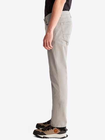 TIMBERLAND Regular Pants in Beige