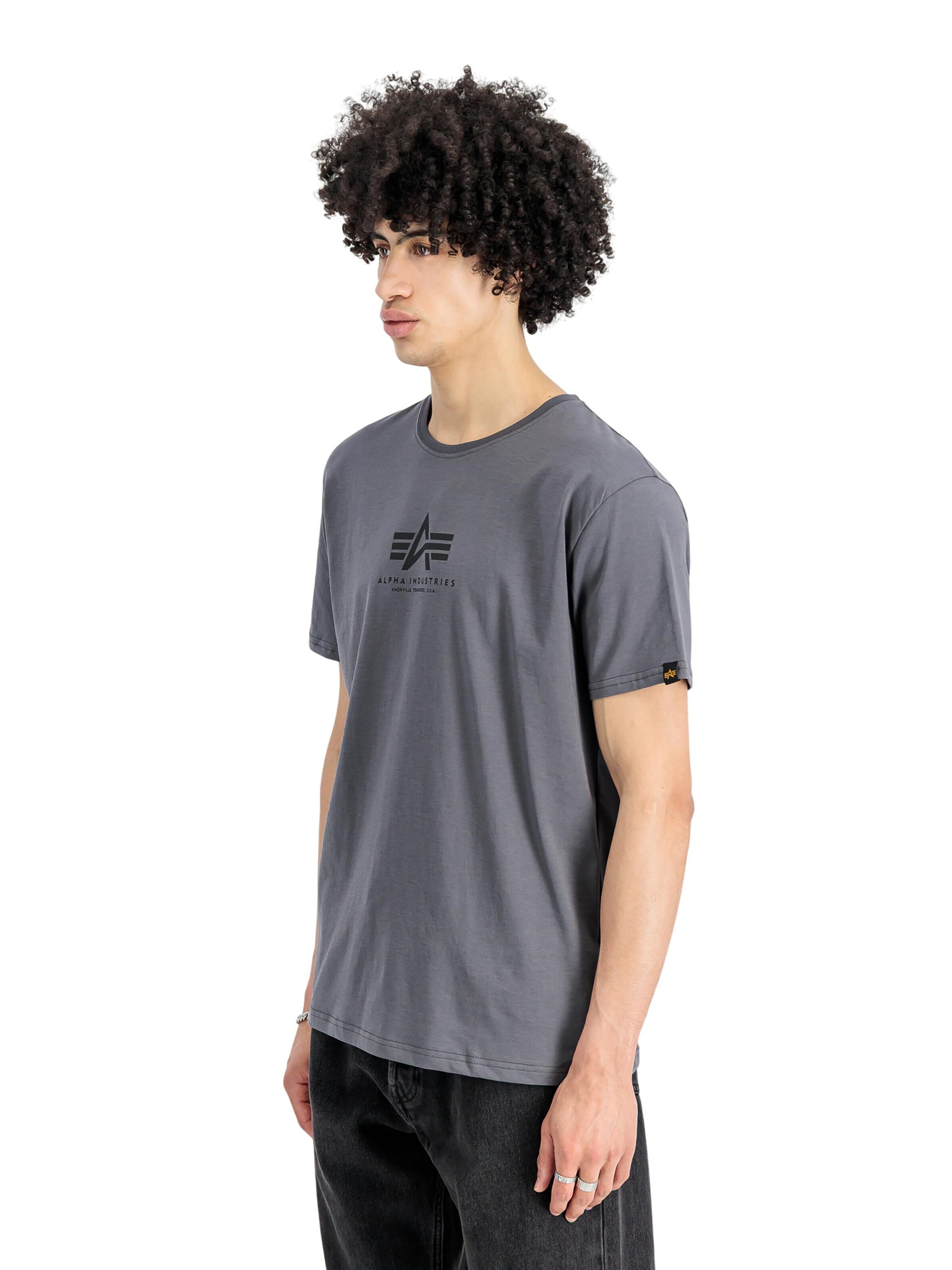 ALPHA INDUSTRIES Shirt 'Basic Mid Logo' in Grey: front