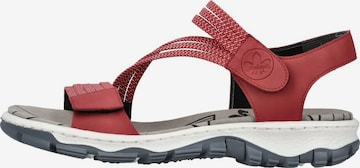 Rieker Sandalen met riem in Rood