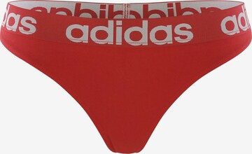 ADIDAS SPORTSWEAR Tanga ' Realasting Cotton ' in Mischfarben