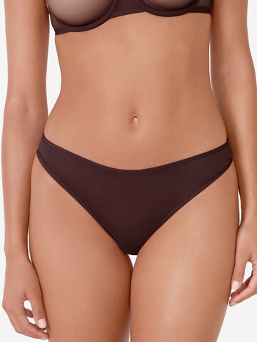 String di ETAM in marrone: frontale