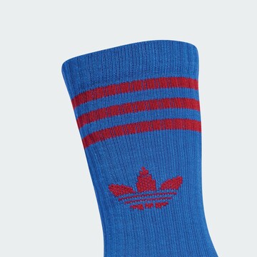 Chaussettes ADIDAS ORIGINALS en blanc